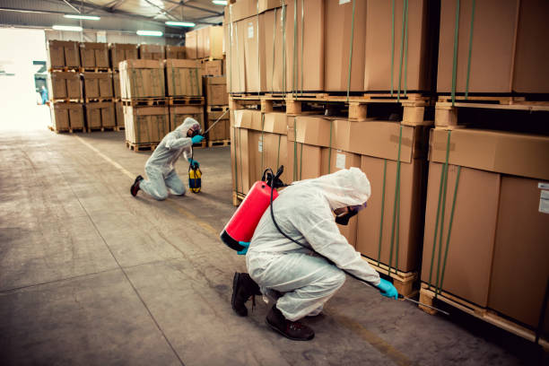 Best Wildlife Control Services  in Inwood, FL