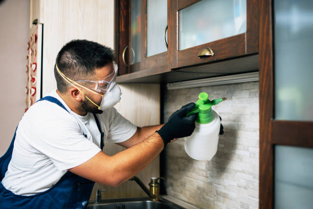 Best Flea Control Services  in Inwood, FL