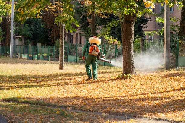 Best Pest Prevention Services  in Inwood, FL