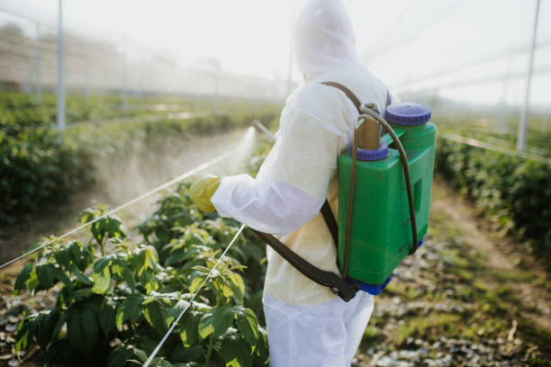 Best Wasp Removal Services  in Inwood, FL